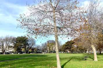 Canterbury - Address withheld