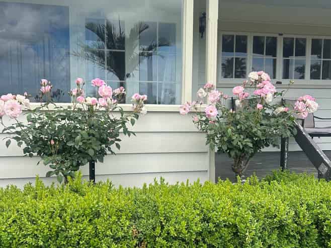 71 Martyn Street, Waiuku