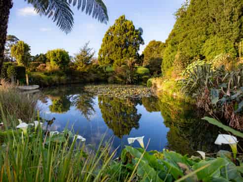 97B Runciman Road, Pukekohe East