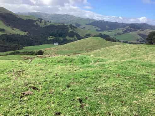 Lot 2, 607 Mangawara Road, Morrinsville
