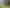 Lot 2, 607 Mangawara Road, Morrinsville