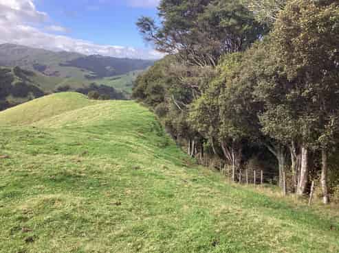 Lot 2, 607 Mangawara Road, Morrinsville