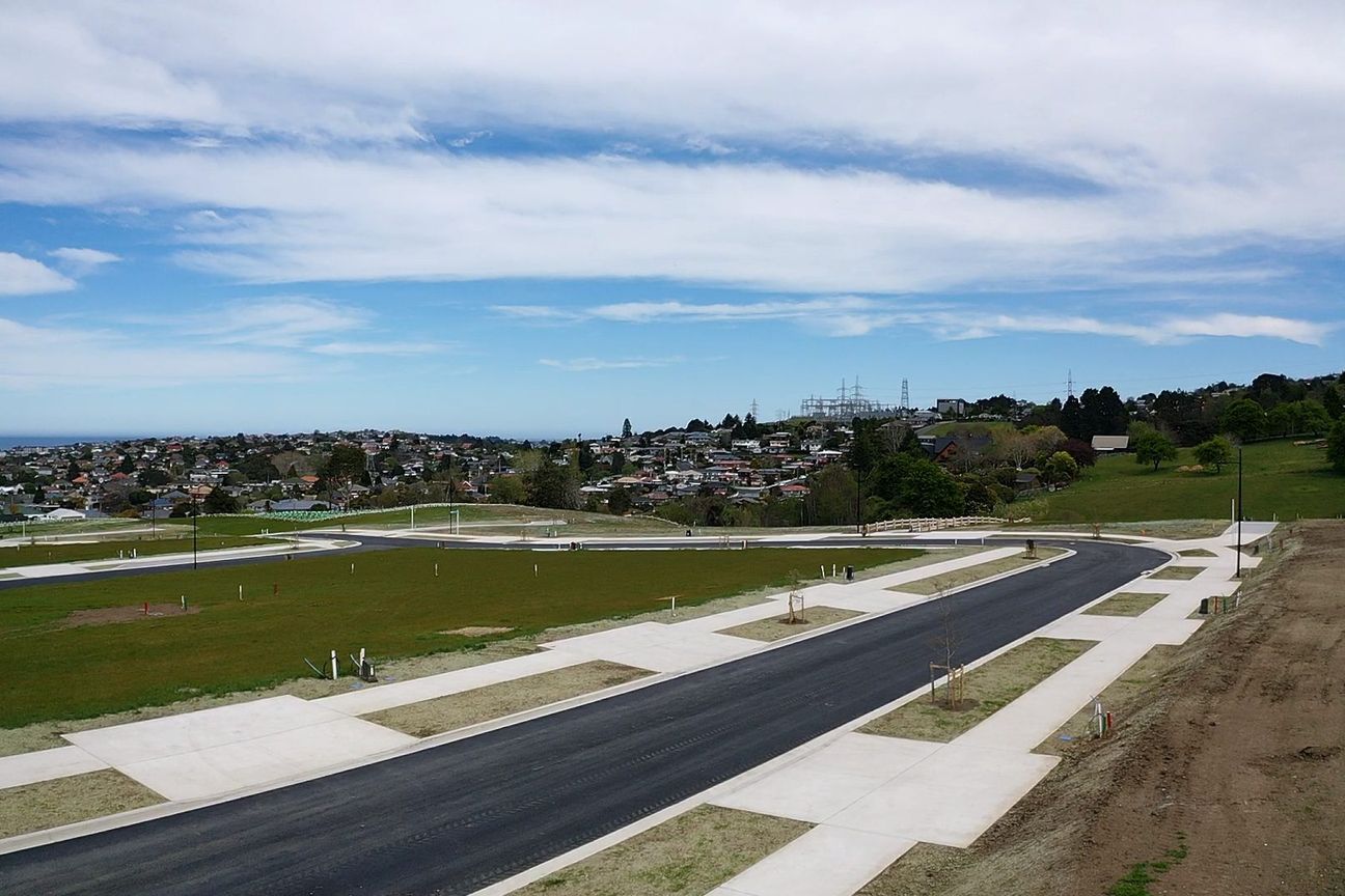 Dunedin's best sections - minutes from the Octagon - Widok 3