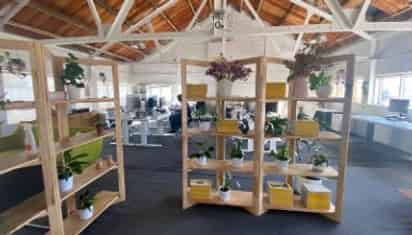 105 Nelson Street, Auckland Central