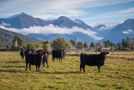 70 Hillside Manapouri Road, Manapouri, Southland, Southland