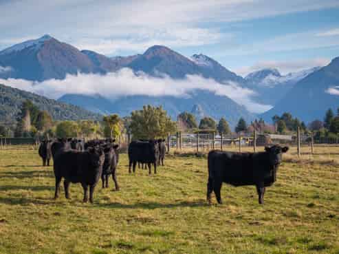 70 Hillside-Manapouri Road, Manapouri
