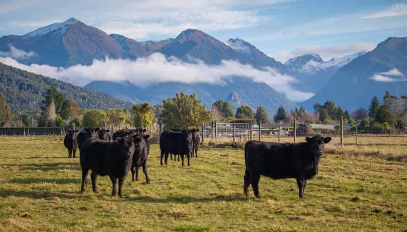 70 Hillside-Manapouri Road, Manapouri