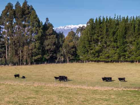 70 Hillside-Manapouri Road, Manapouri