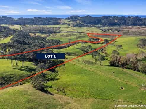 Lot 1/177 Link Road, Hahei
