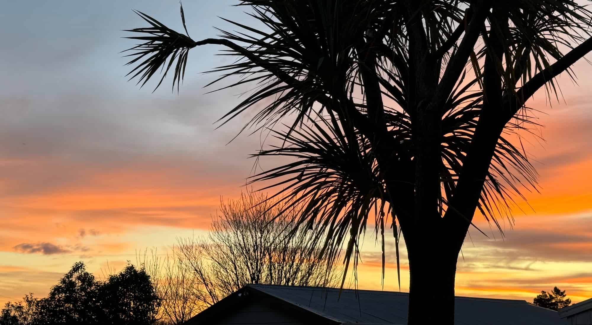 928 TENNENT DRIVE, Linton, Palmerston North City For Sale