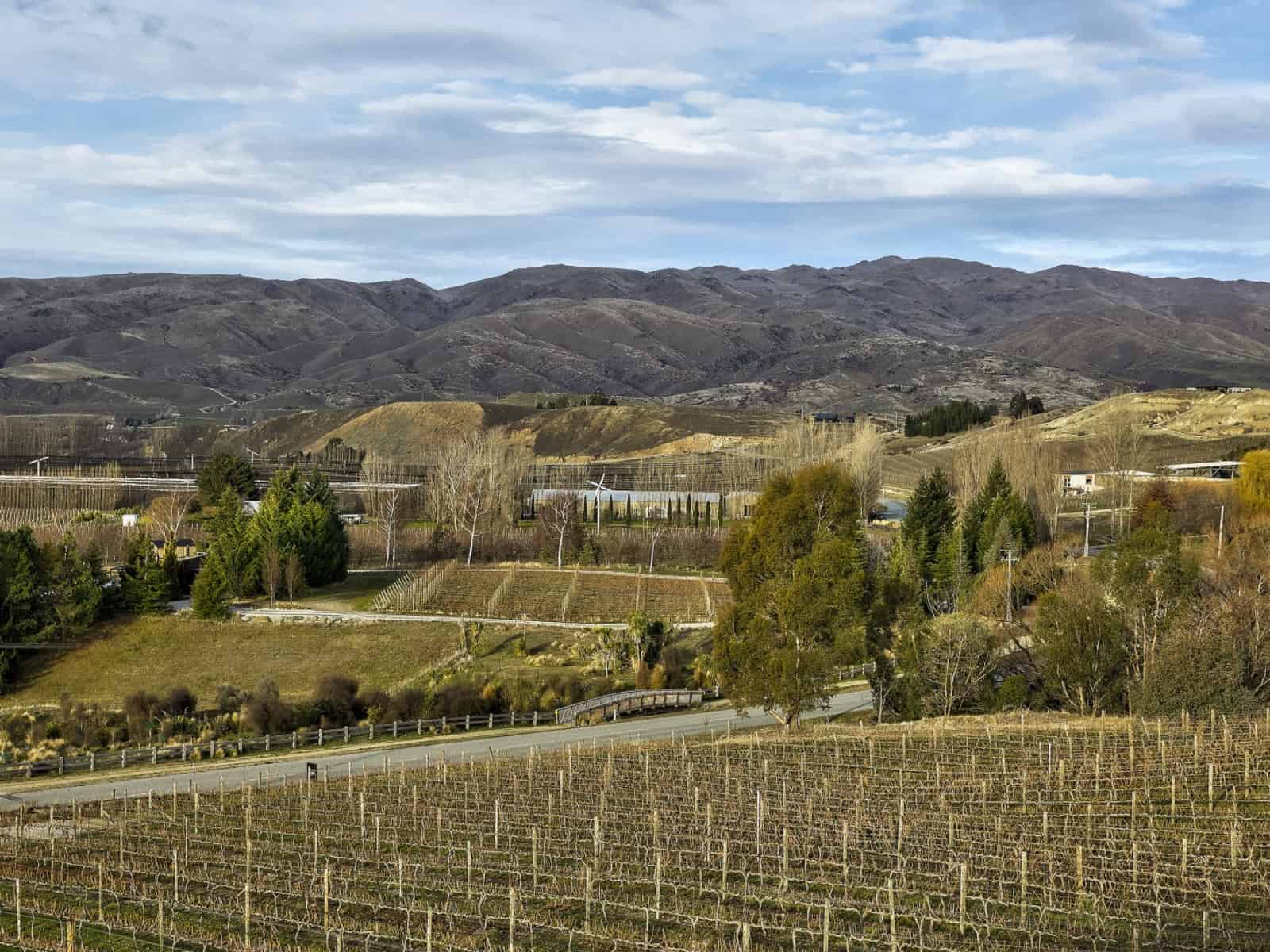 Bannockburn Homes and Real Estate for Sale realestate.co.nz