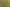 2625 Ohura Road, Douglas