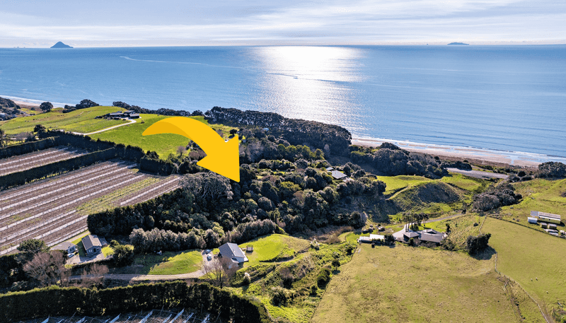 8a Thompson Road, Opotiki