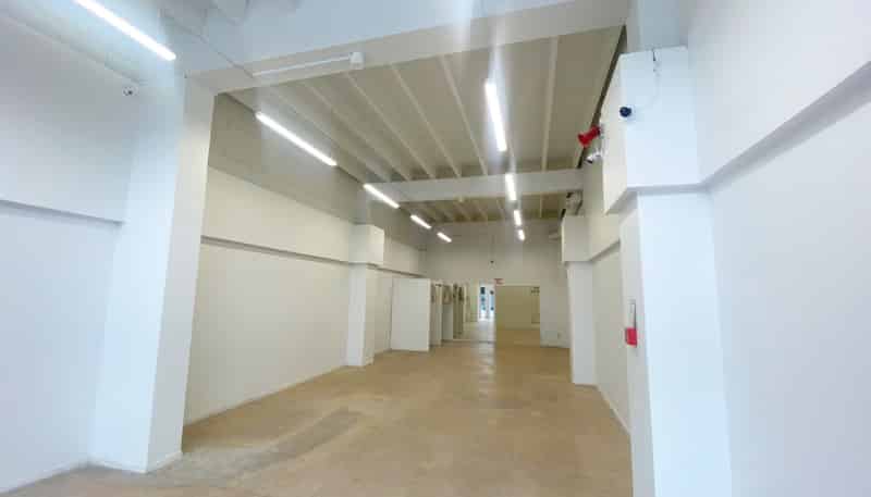 Tenancy 3/117 Willow Street, Tauranga