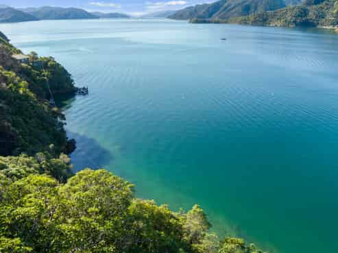  The Snout Waikawa Bay, Picton