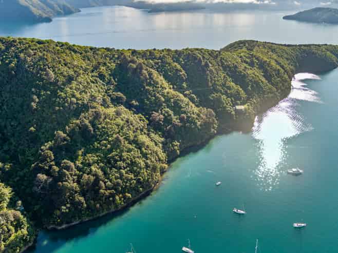  The Snout Waikawa Bay, Picton