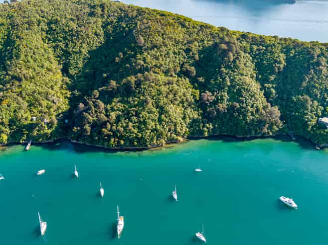  The Snout Waikawa Bay, Picton