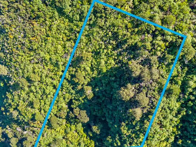  The Snout Waikawa Bay, Picton