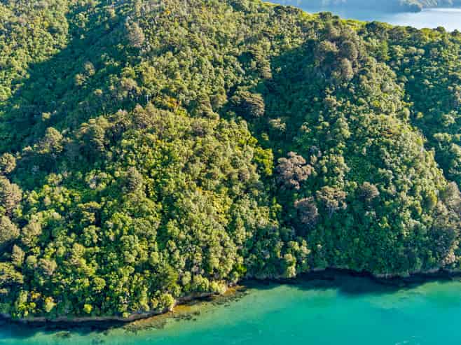  The Snout Waikawa Bay, Picton