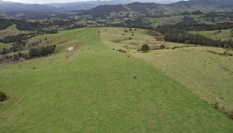 372 Omahuta Road, Mangamuka