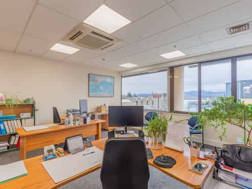 Light and Bright Professional Office