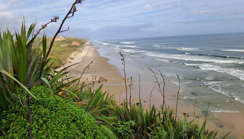 3065 State Highway 12, DARGAVILLE