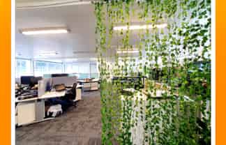 Trendy Office Space
