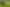  850 Te Kopia Road, Waikite Valley