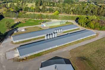 Canterbury Chicken Farm For Sale! 