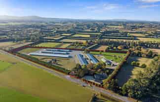 Canterbury Chicken Farm For Sale! 