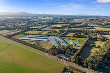 Canterbury Chicken Farm For Sale! 