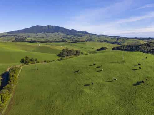 535 Maungatawhiri Road, Raglan