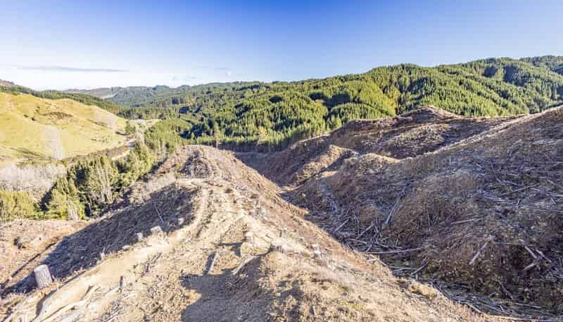 Lot 1 Oio Road, Owhango