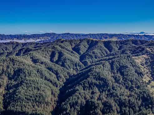 Lot 1 Oio Road, Owhango