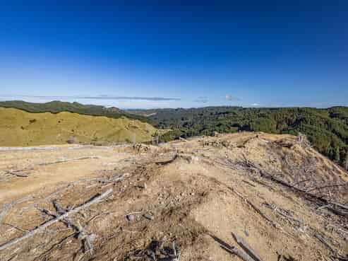 Lot 1 Oio Road, Owhango