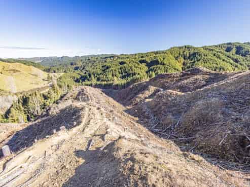 Lot 1 Oio Road, Owhango