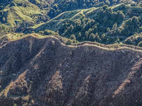 Lot 1 Oio Road, Owhango