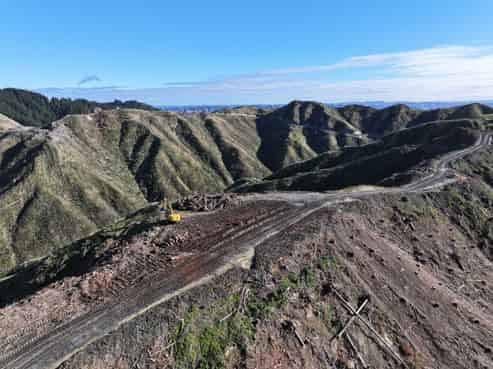 15 Watershed Road, Taihape and Surrounds