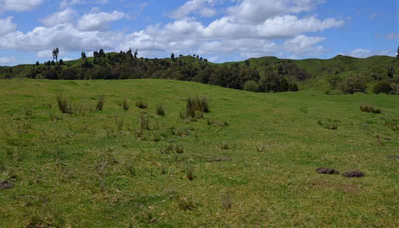 262 Waitaanga North Road, Ohura