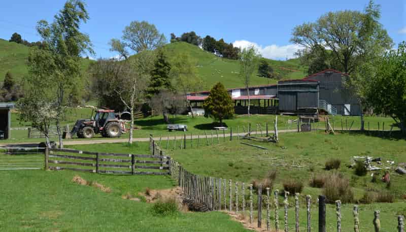 262 Waitaanga North Road, Ohura
