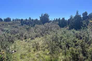 1128 Woodstock-Rimu Road, Ruatapu