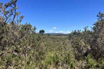 1128 Woodstock-Rimu Road, Ruatapu