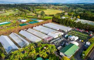 Thriving Nursery Business - Kerikeri