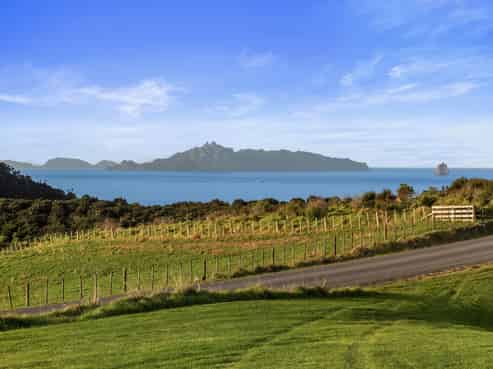12 Tuaraki Road, Mangawhai Heads