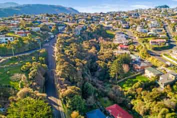 115 Dunrobin Street, Waverley