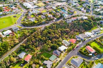 115 Dunrobin Street, Waverley