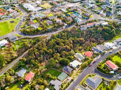 115 Dunrobin Street, Waverley