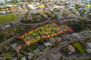 115 Dunrobin Street, Waverley