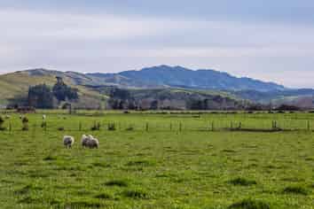 Lot 7 Opaki Kaiparoro Road, Masterton
