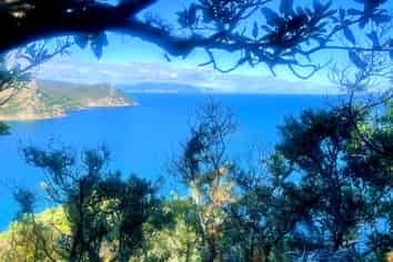 552 Blind Bay Road, Great Barrier Island